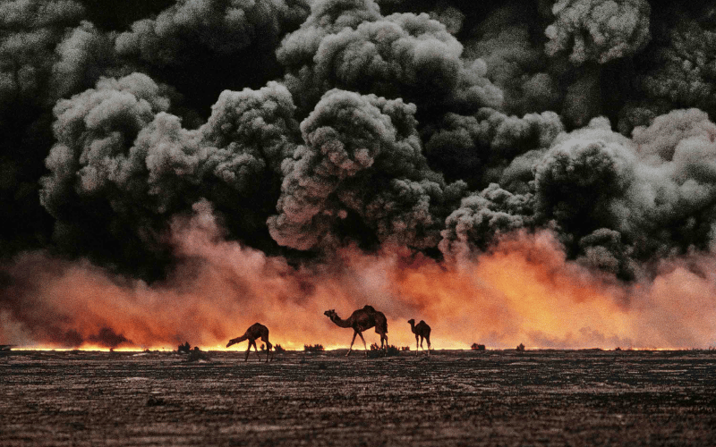 Foto: "Camels and Oil Fields", Al Ahmadi, Kuwait, 1991 - Steve McCurry
