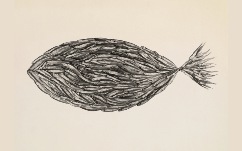 Foto: "Fish Made of Fish", Nova York, 1939